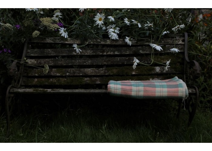 Plaster Pink , Ecru & Peppermint Check Welsh Blanket CPN41